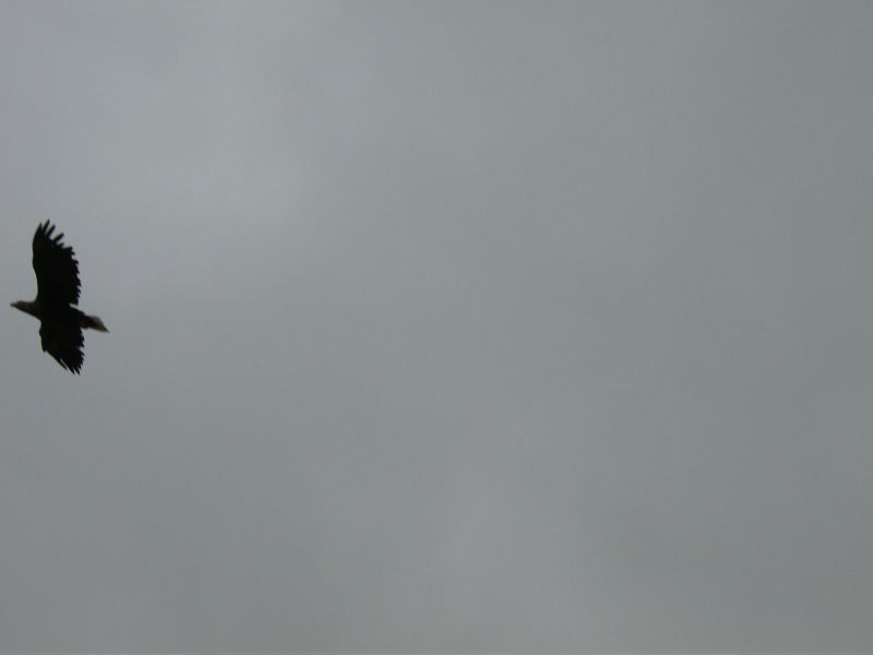 Nordkap 2009 409.jpg